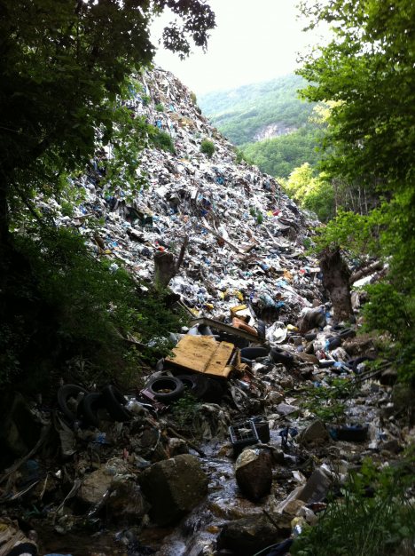 Tološka šuma bogatija za 80 stabala