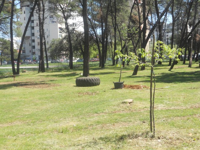 Rezime aprilskih aktivnosti  Ekološkog Pokreta ,,OZON“ 