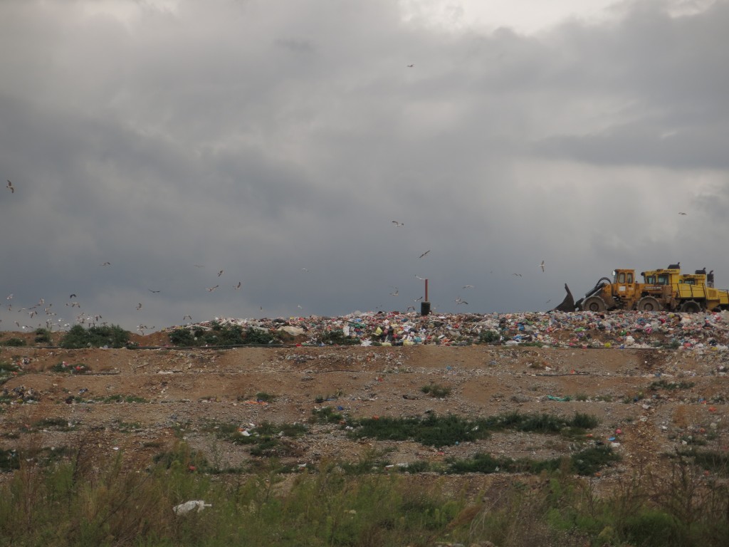 Sanitarna kada na podgoričkoj deponiji (Foto:OZON tim)