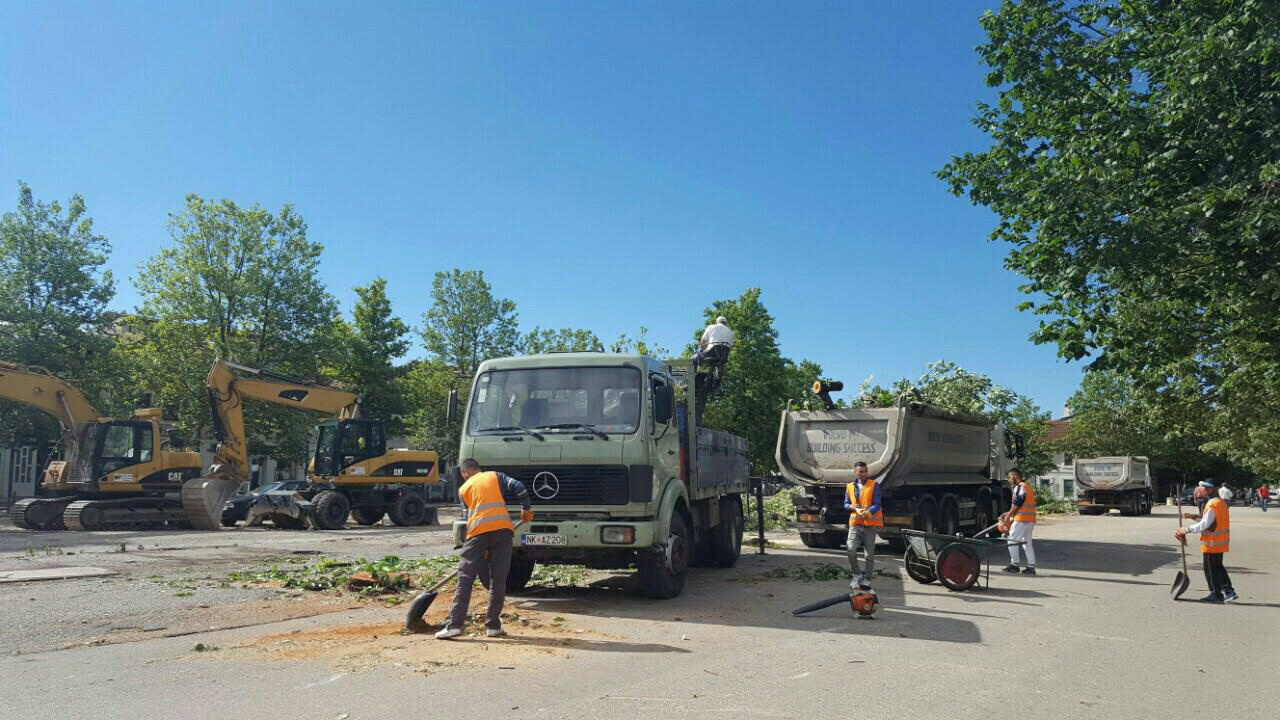 Sječa lipa alarm za građanska prava i slobode,  Ozon predlaže vanredne lokalne izbore