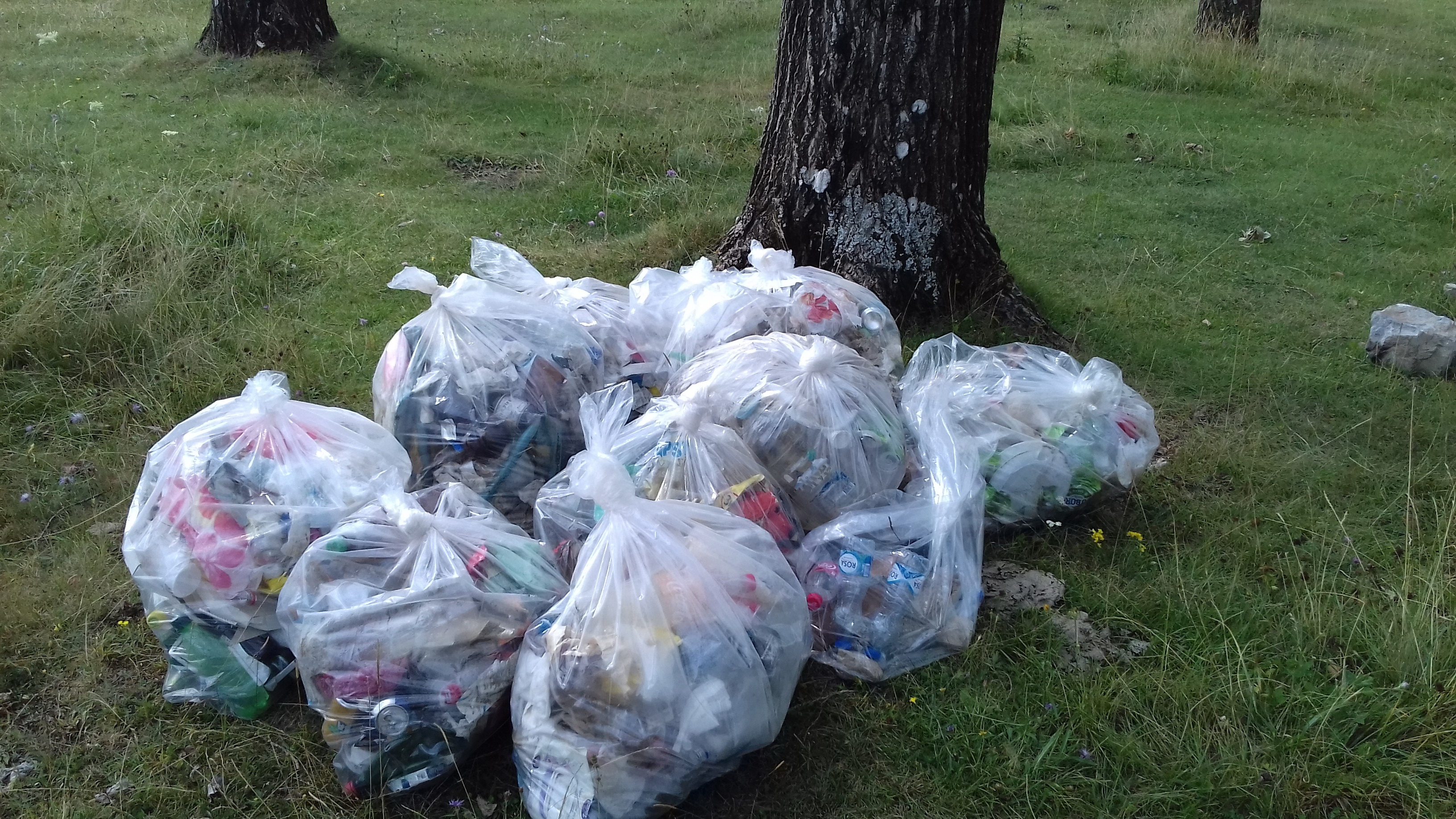 Volonterske akcije čišćenja Gorice, Skalina, Ribnice i Ćemovskog