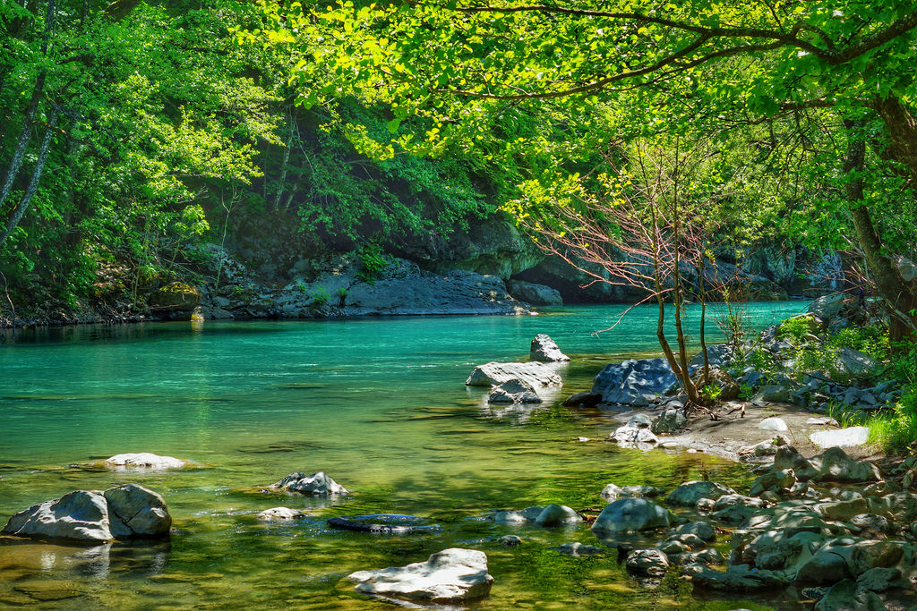 Evropska Komisija da pomogne u zaštiti rijeke Tare