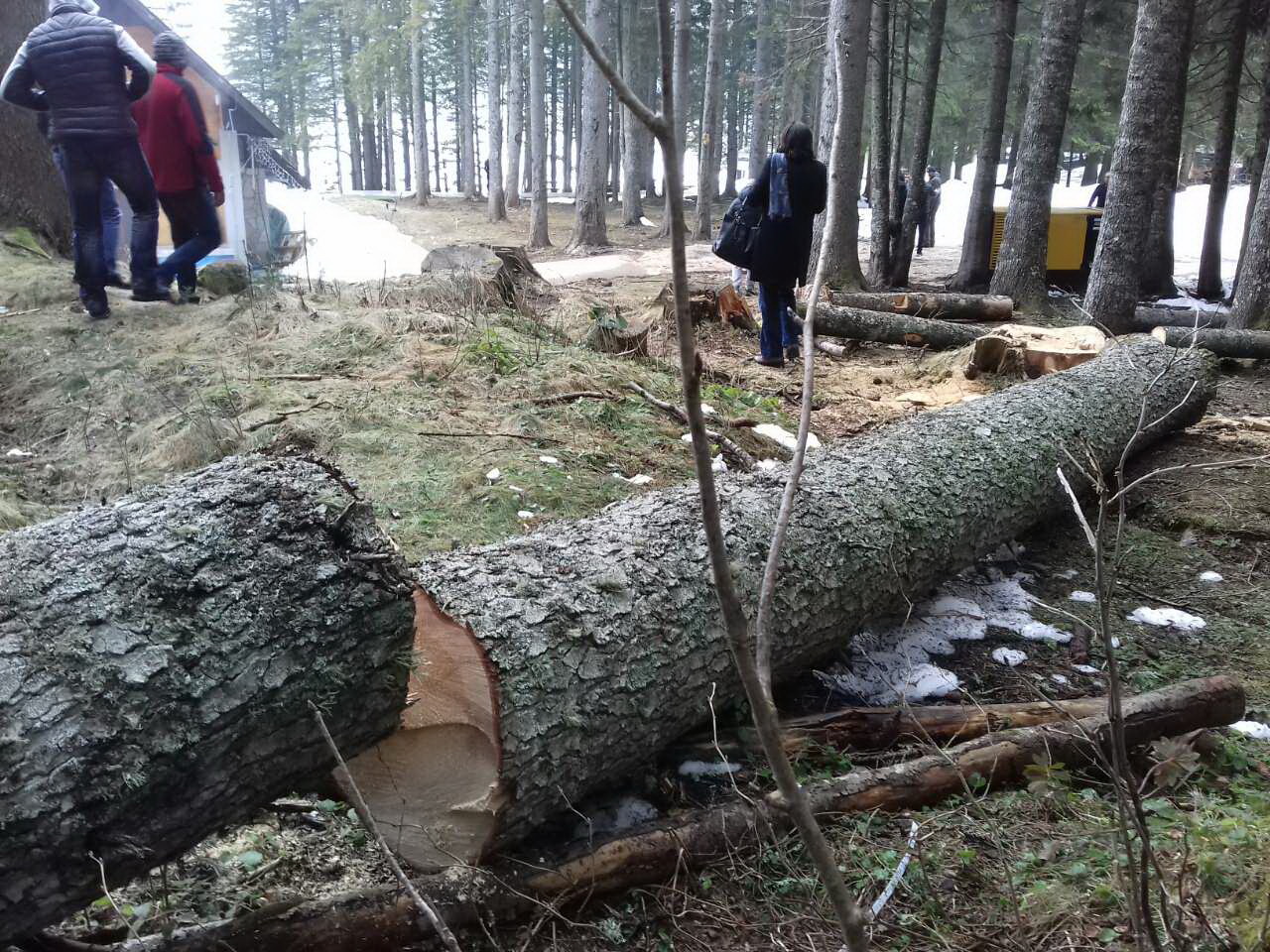 Direktor Ozona smatra da je NP ,,Durmitor