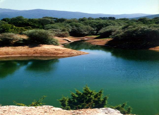 Spomenik prirode Gornjepoljski vir obezbjediti video nadzorom