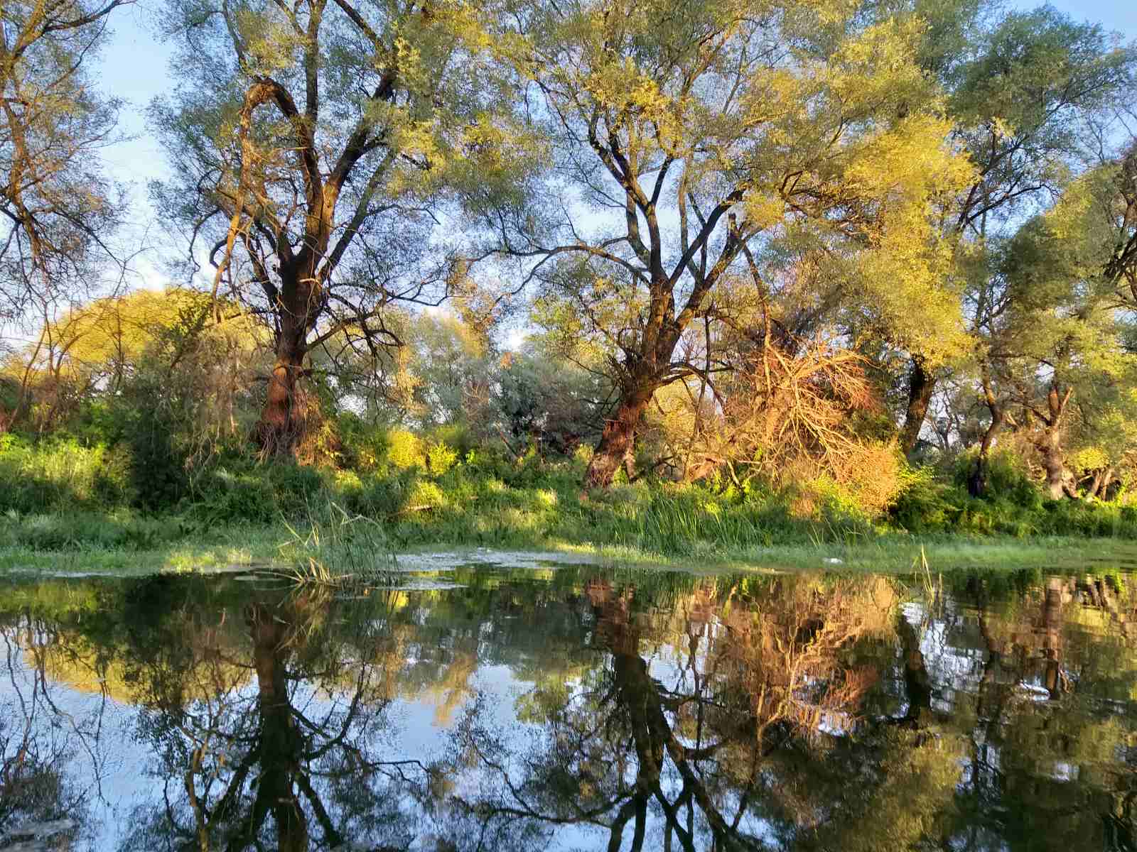 Nagrađeni najbolji na konkursu ,,Za Zelenu Zetu