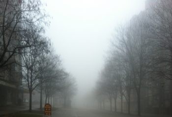 EKOSKOP : Građanski monitoring kvaliteta vazduha za 2025. godinu