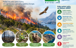 Požari u Nikšiću na prostorima predloženim za NATURA 2000 evropsku mrežu zaštićenih područja